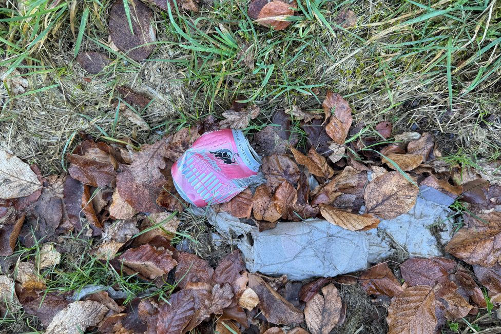 Alte Bierdose im Gras