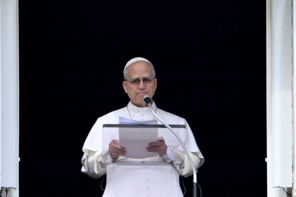 Papst Leo XIV. spricht zu den Gläubigen