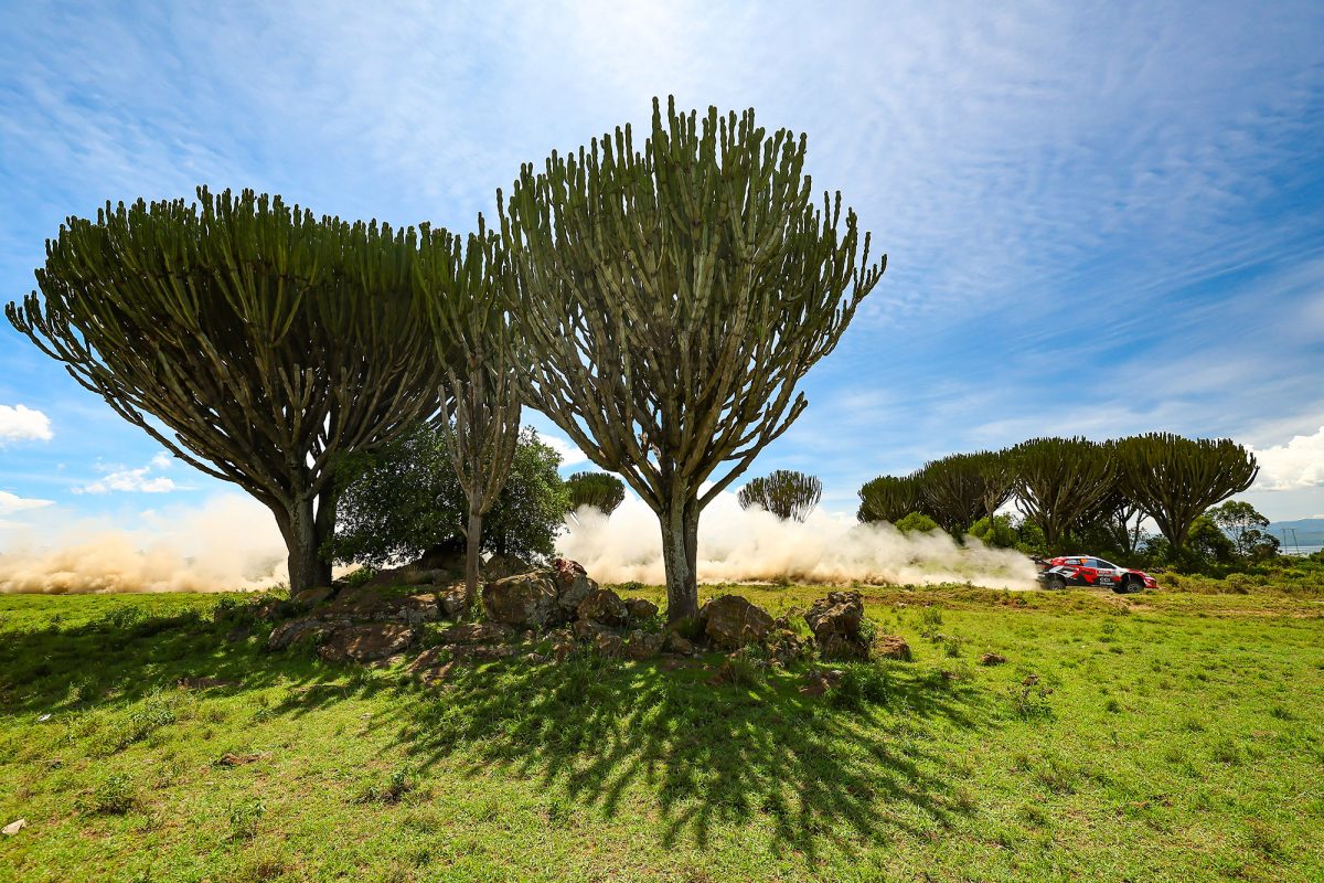 Oliver Solberg/Elliott Edmondson bei der Rallye Kenia