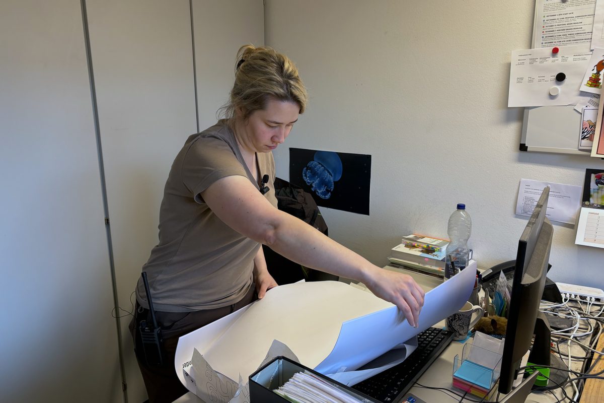 Janina Dötzer steht im Büro vor einem Schreibtisch und schaut sich Unterlagen an