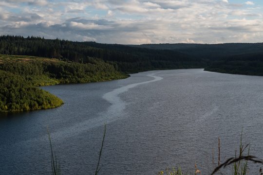 Blick auf die Wehebachtalsperre bei Hürtgenwald