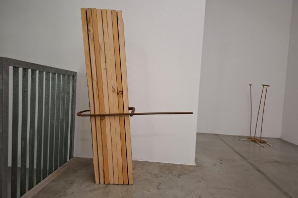 Werke in der Ausstellung "Werdeformen"