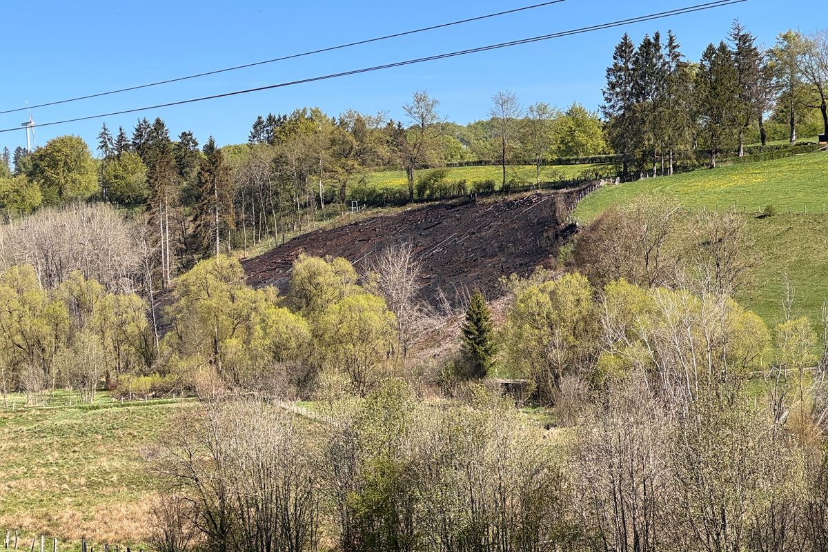Die verbrannte Fläche in der Nähe von Witzfeld