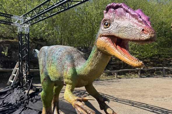 Im Dinosaurierpark Teufelsschlucht in Ernzen
