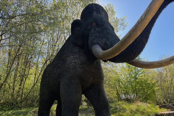 Im Dinosaurierpark Teufelsschlucht in Ernzen