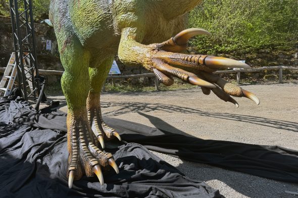 Im Dinosaurierpark Teufelsschlucht in Ernzen