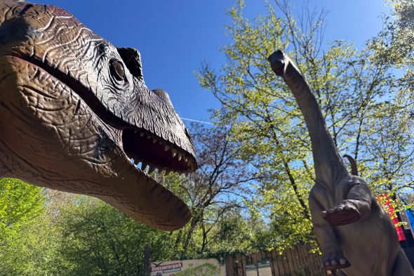 Im Dinosaurierpark Teufelsschlucht in Ernzen