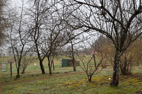 Klima-Garten am Weißen Stein