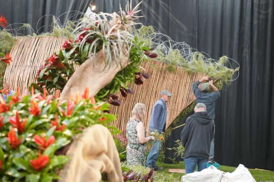Mehrere Menschen halten Pflanzen und Hölzer in den Händen, andere arbeiten an einem Aufbau aus Bambus