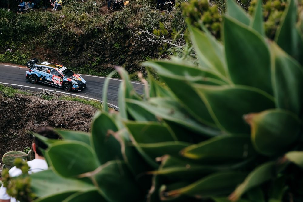 Thierry Neuville/Martijn Wydaeghe beim Shakedown der Rallye Kanarische Inseln