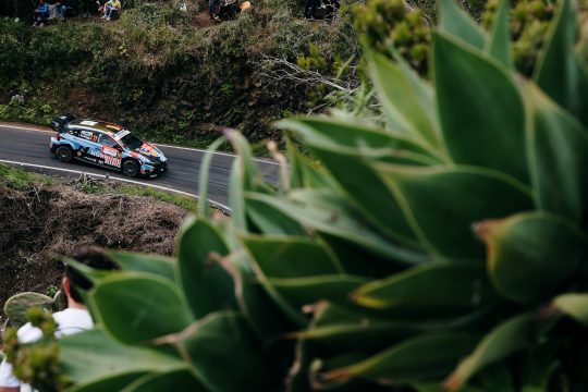 Thierry Neuville/Martijn Wydaeghe beim Shakedown der Rallye Kanarische Inseln