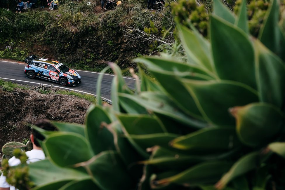 Thierry Neuville/Martijn Wydaeghe beim Shakedown der Rallye Kanarische Inseln