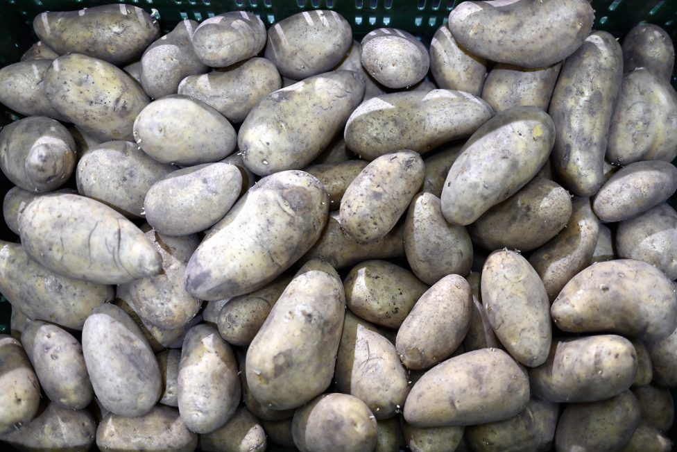 Eine Kiste mit losen Kartoffeln an einem Markstand