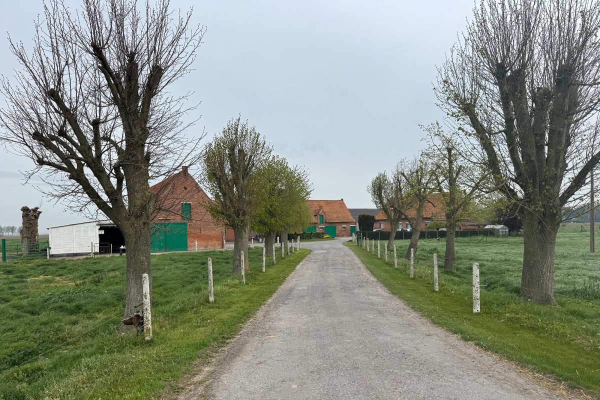 Einfahrt zum Torenhof