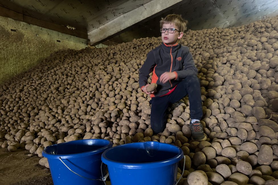 Sohn Tom sitzt auf einem Kartoffelberg in einer Lagerhalle