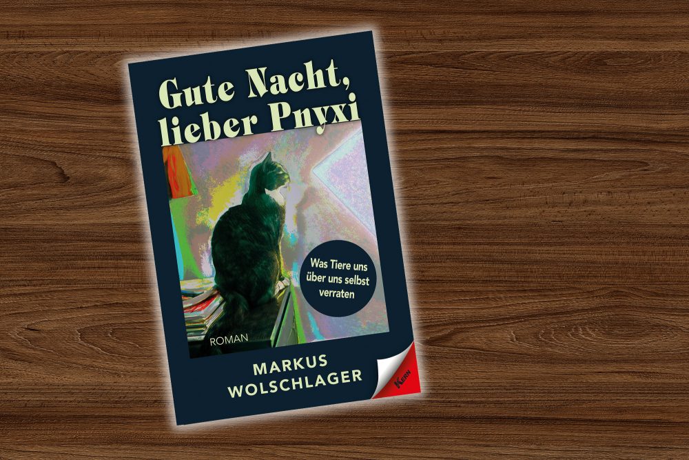 Roman "Gute Nacht, lieber Pnyxi" von Markus Wolschlager (Verlag Kern)
