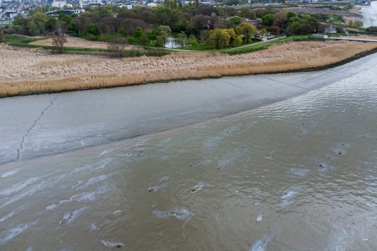 Ausgetretenes Öl in der Nähe des Antwerpener Hafens