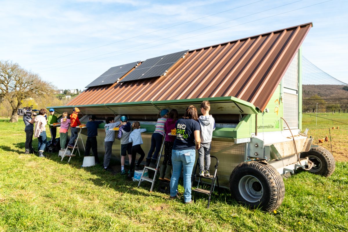 Osterlager auf dem Gut Rotter 93