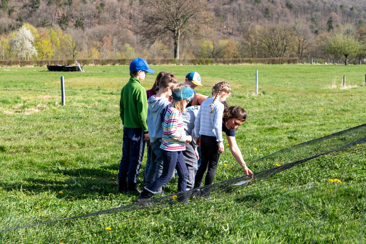 Osterlager auf dem Gut Rotter 93