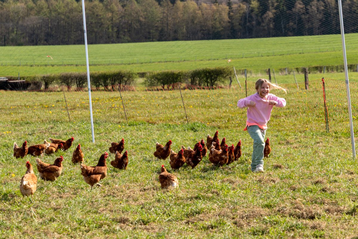 Osterlager auf dem Gut Rotter 93