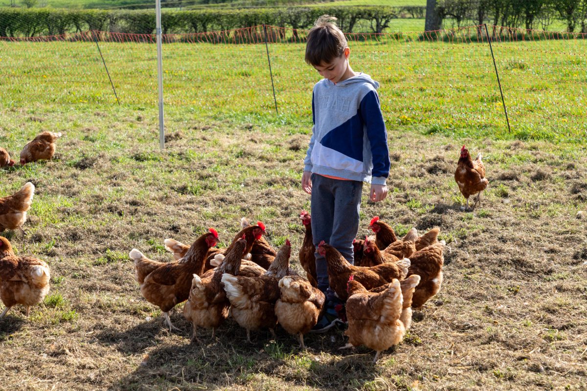 Osterlager auf dem Gut Rotter 93