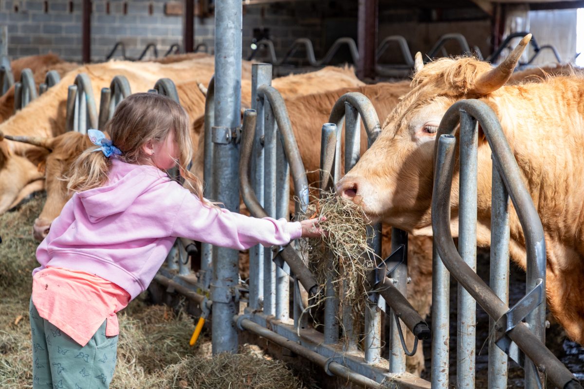 Osterlager auf dem Gut Rotter 93