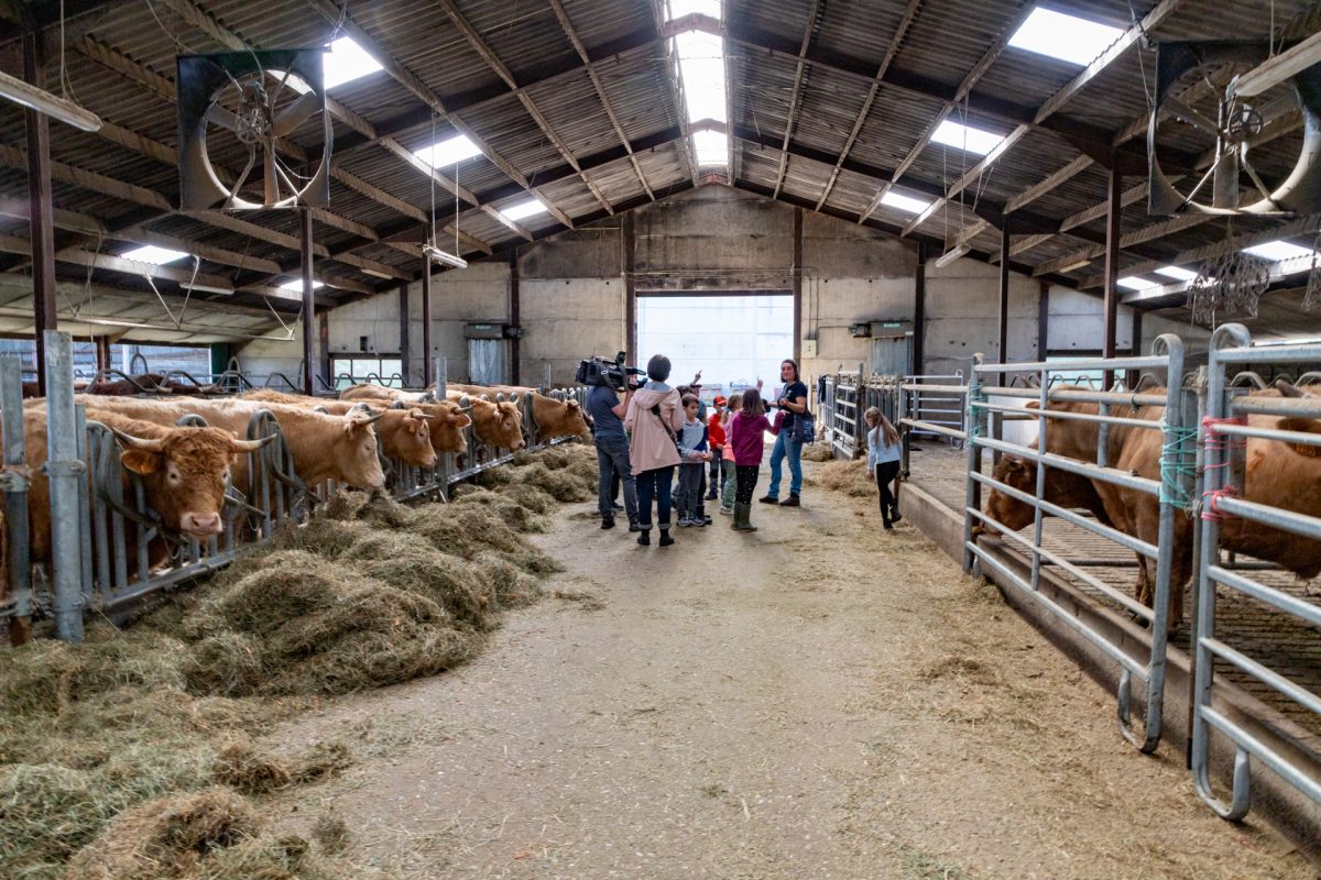 Osterlager auf dem Gut Rotter 93