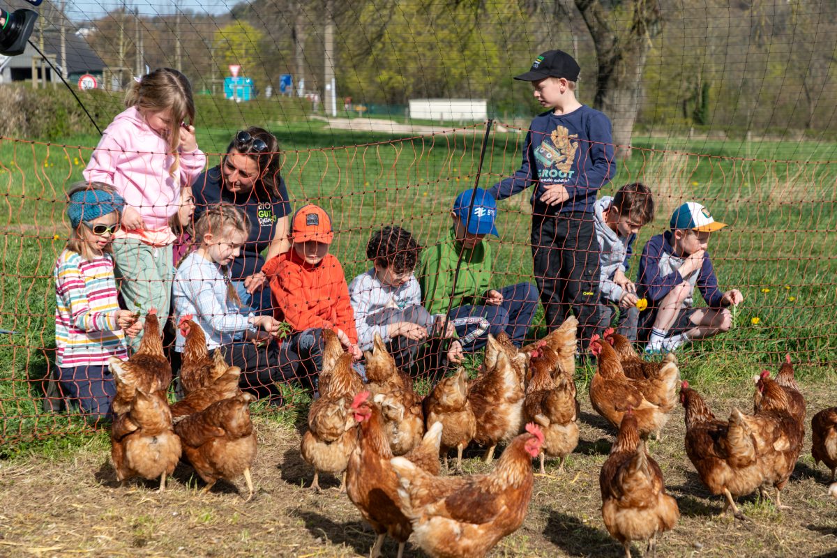 Osterlager auf dem Gut Rotter 93