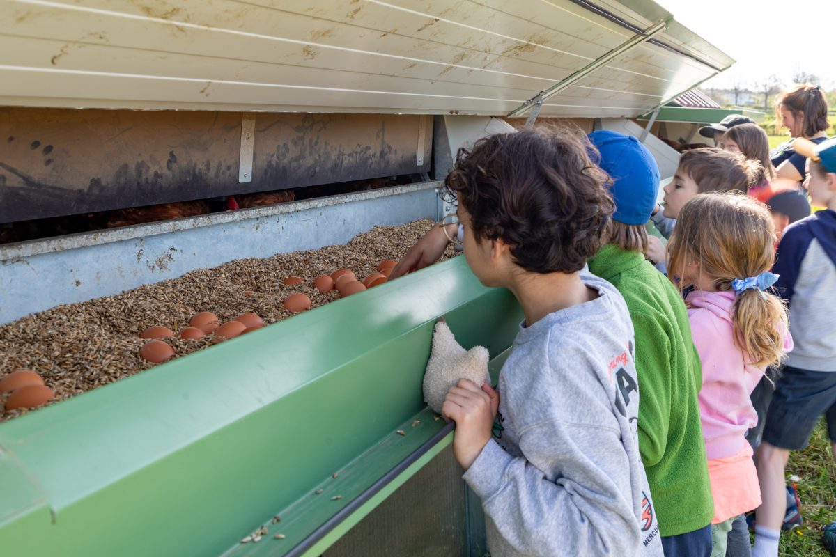 Osterlager auf dem Gut Rotter 93