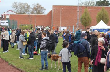 Zuschauer beim Osterlauf in Eupen 2026