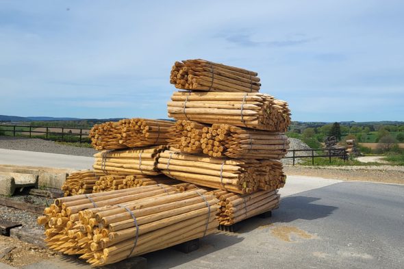 Holzstapel auf dem Betriebsgelände des Unternehmens Peter Müller in Amel-Möderscheid