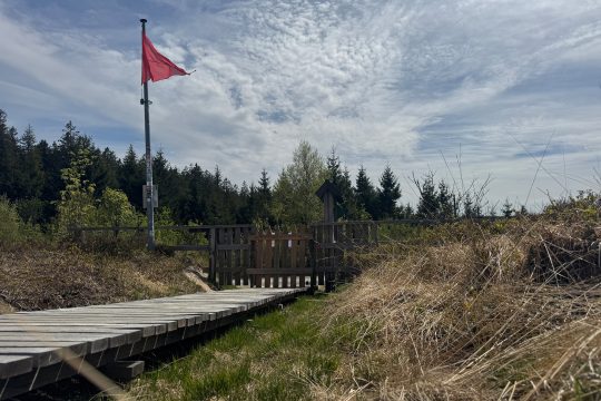 Die Rote Fahne weht im Hohen Venn