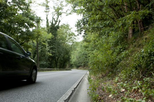 Von einem Auto befahrene Straße mit Wegesrand rechts