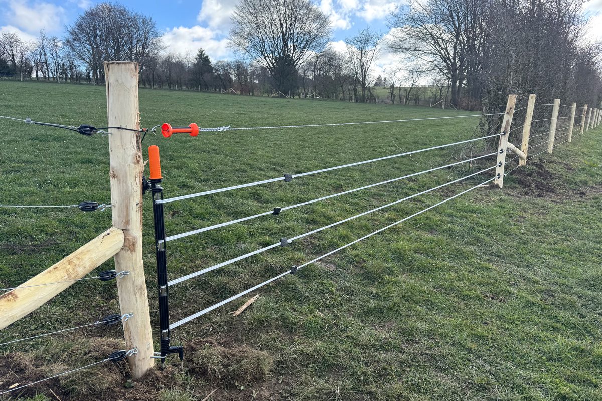 Elektrischer Schutzzaun, um Wölfe fernzuhalten von Schafherden