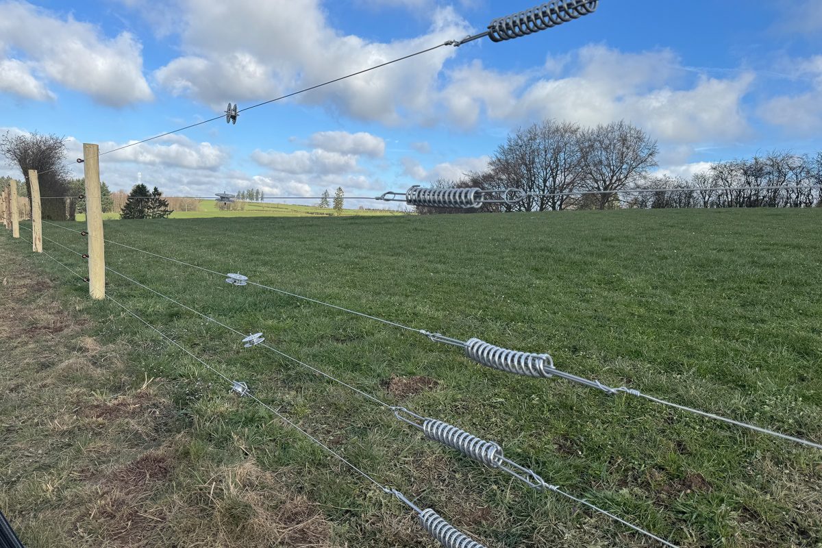 Elektrischer Schutzzaun, um Wölfe fernzuhalten von Schafherden