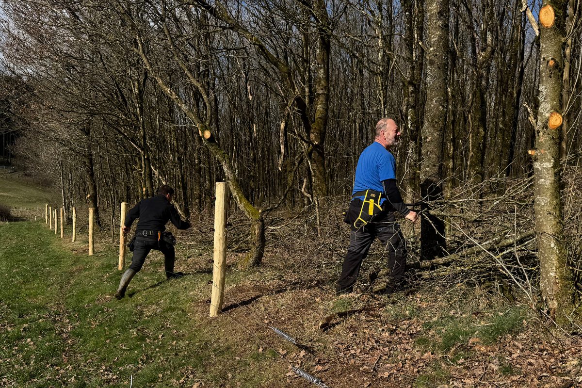 Freiwillige des Wolf Fencing Team in Mürringen im Einsatz