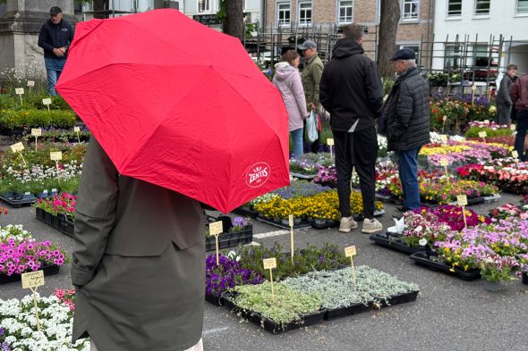 Eupener Blumenmarkt trotzt dem wechselhaften Wetter