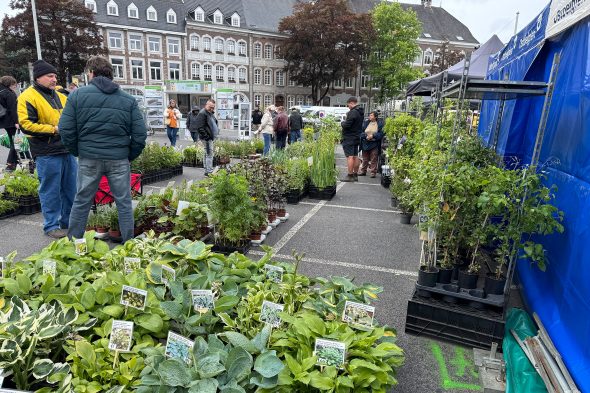 Eupener Blumenmarkt trotzt dem wechselhaften Wetter