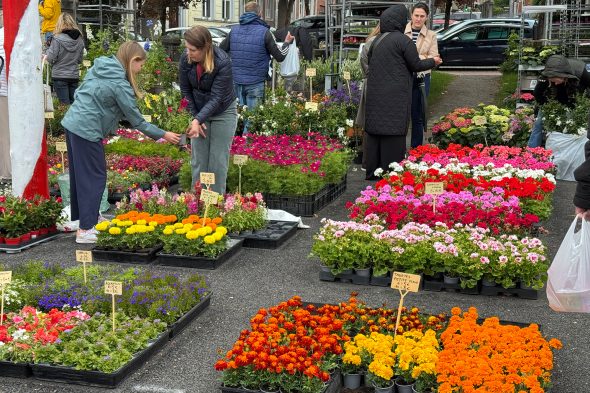 Blumenmarkt6_ManuelZimmermannBRF