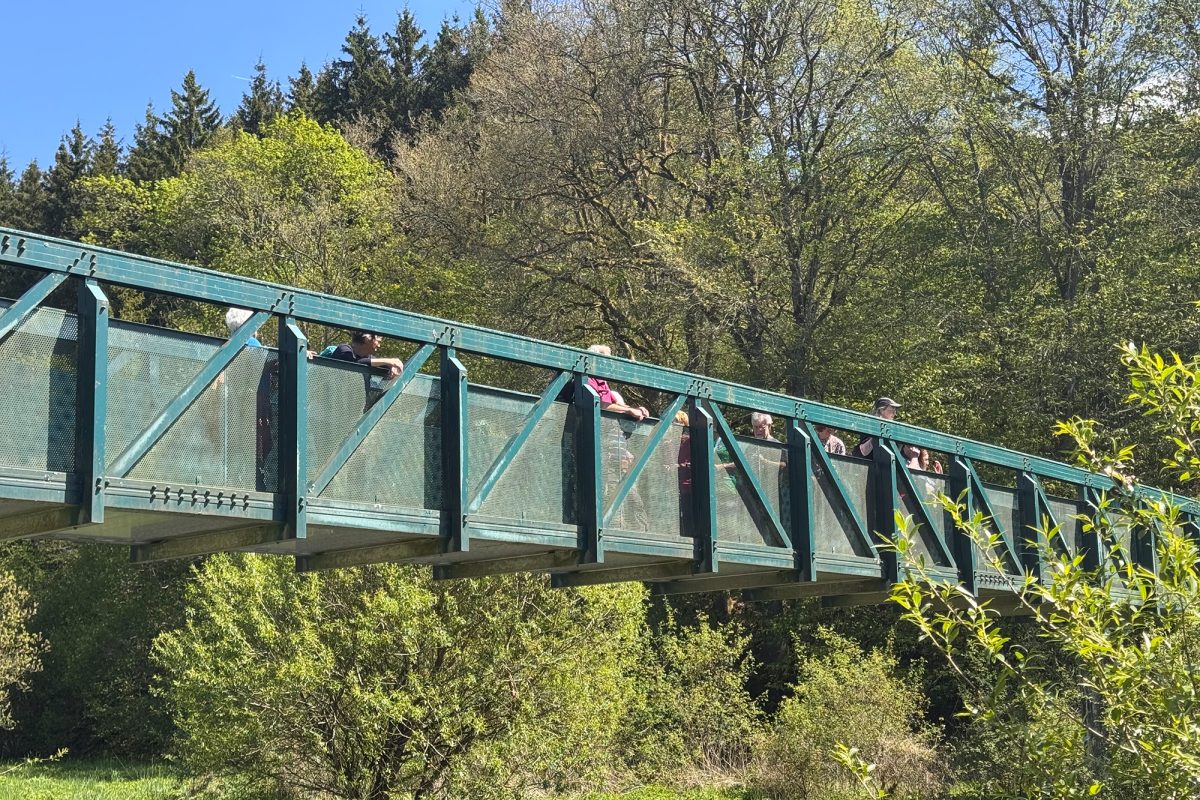 Fußgängerbrücke am Dreiländereck von Deutschland, Belgien und Luxemburg