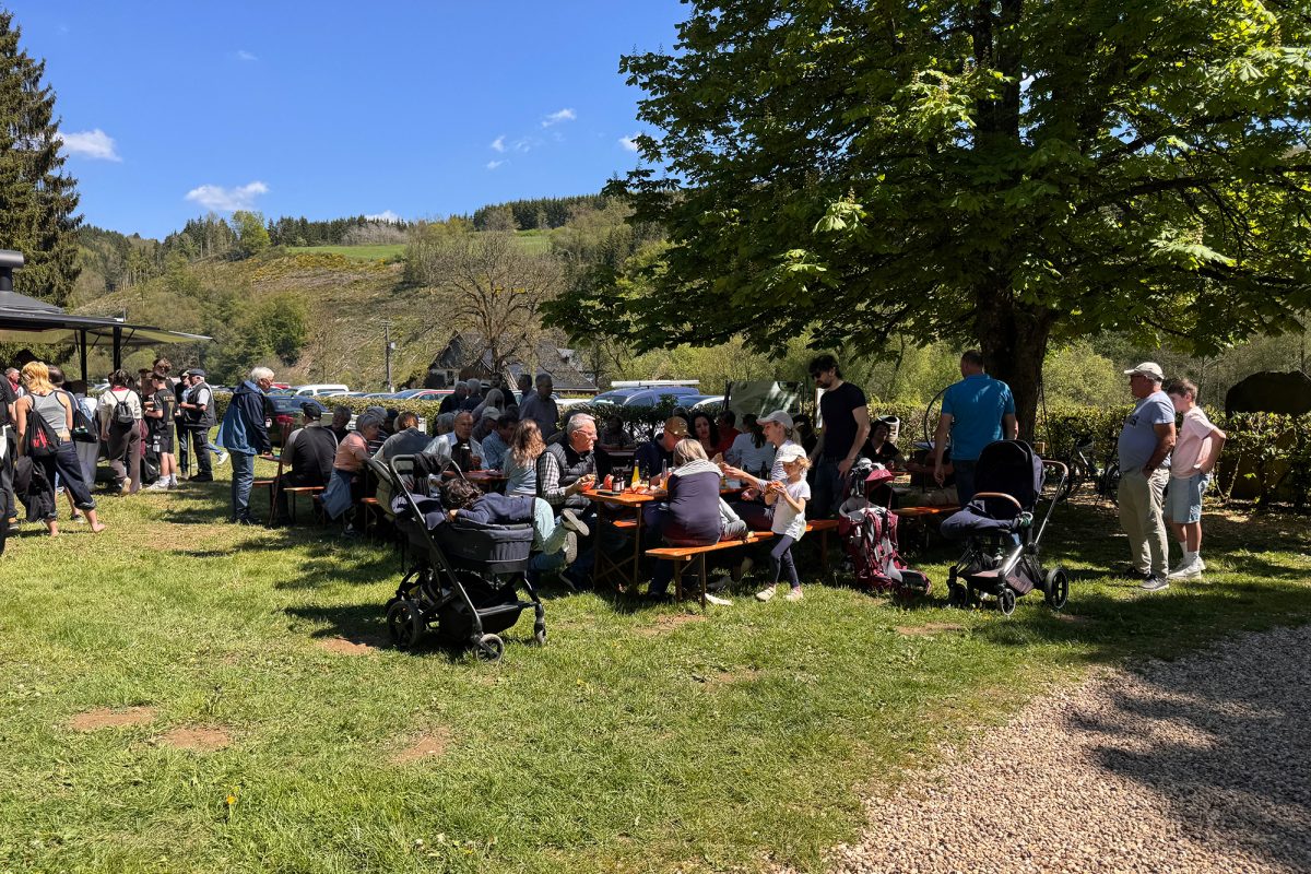Menschen machen ein Picknick, einige sitzen auf Bierbänken an Tischen