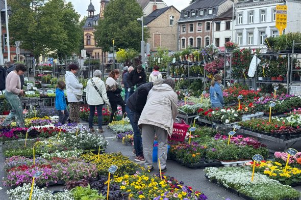 Blumenhändler auf dem Eupener Freitagsmarkt