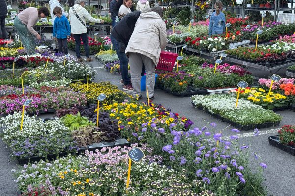 Blumenhändler auf dem Eupener Freitagsmarkt