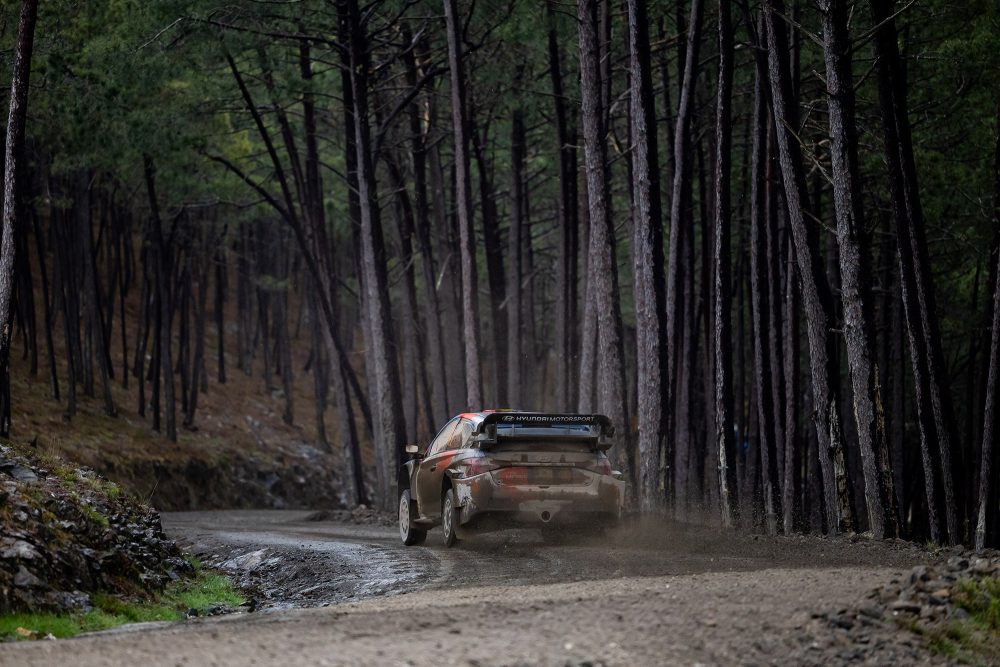 Der schmutzige Hyundai von Thierry Neuville auf einem schlammigen Waldweg von hinten