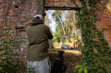 Durch ein Fenster eines alten Gebäudes schauen ein Zuschauer und ein Hund zu, wie das Auto von Thierry Neuville/Martijn Wydaeghe um eine Kurve fährt