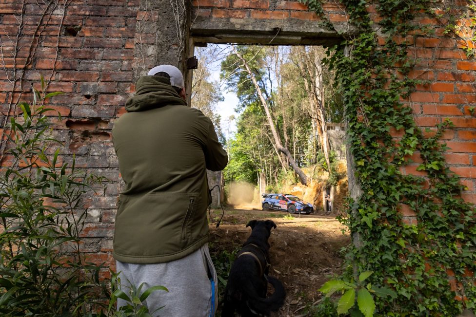 Durch ein Fenster eines alten Gebäudes schauen ein Zuschauer und ein Hund zu, wie das Auto von Thierry Neuville/Martijn Wydaeghe um eine Kurve fährt
