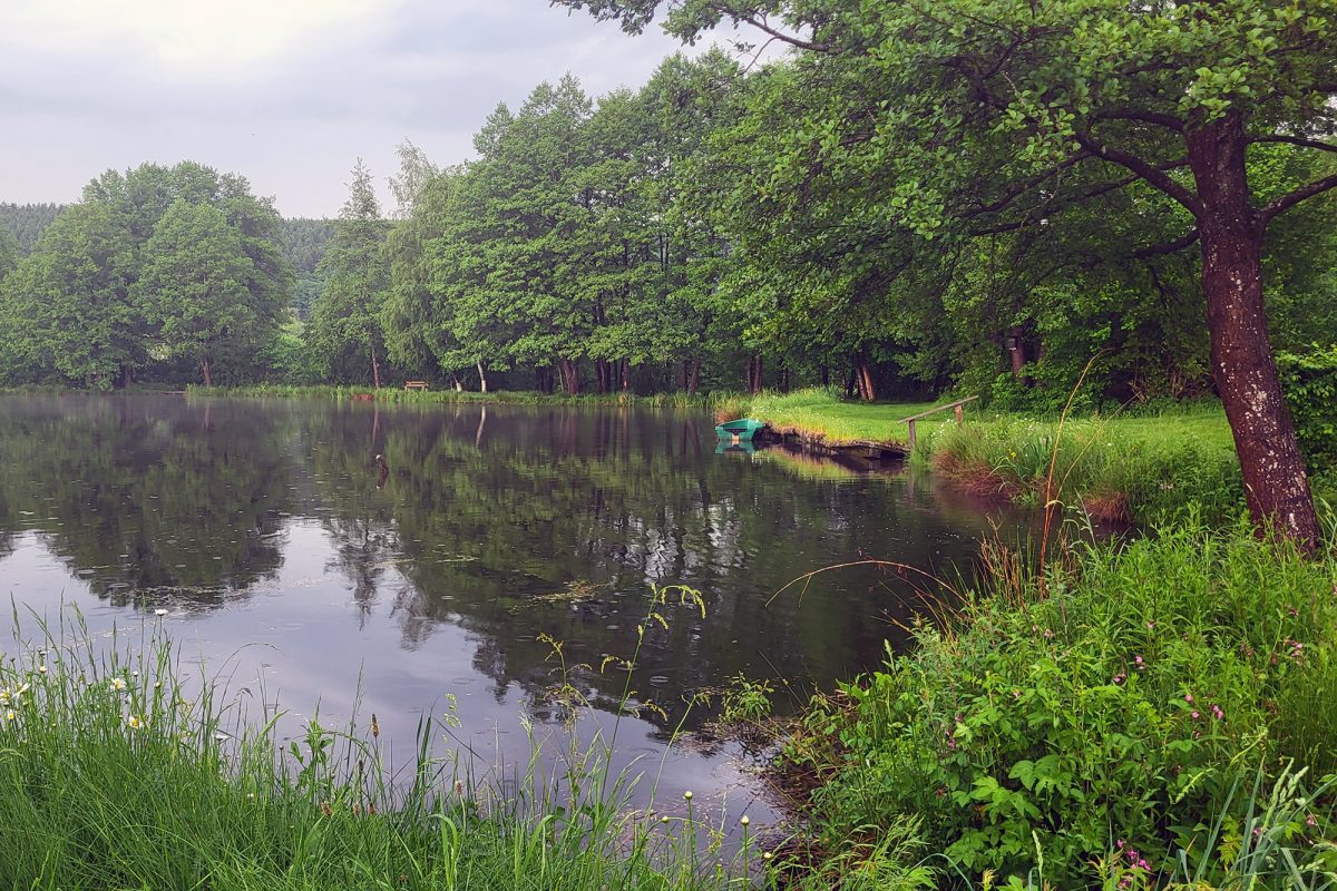 Der Rechter Weiher mit viel Grün und Bäumen ringsum