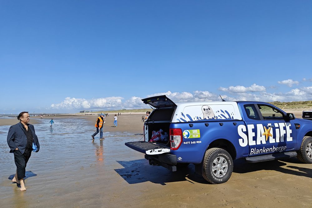 Van von Sealife am Strand von Wenduine