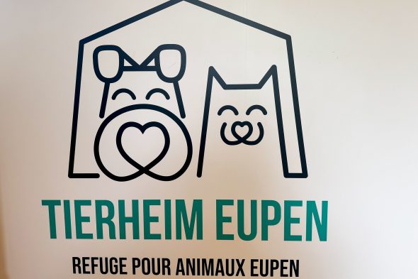 Tierheim Eupen steckt in finanziellen Schwierigkeiten