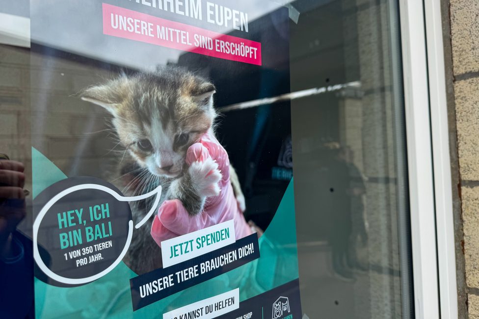 Im Tierheim Eupen